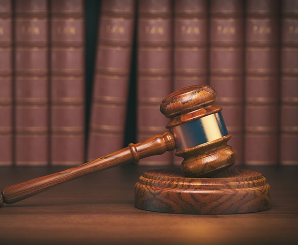 GIURISPRUDENZA IN MATERIA DI ASSISTENZA PROTESICA